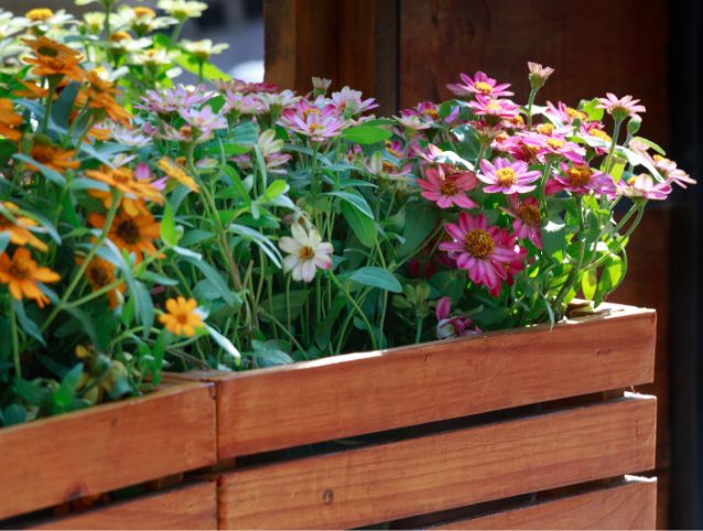 Dicas para Criar Jardins em Espaços Limitados