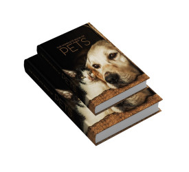 Kit 2 Caixas Livro Decorativa Mek Pets Colorido 