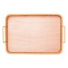 Bandeja Retangular Lyor C/ Alca Kali Plástico 35X25X4,5Cm