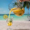 Cnj Wolff Jarra 6 Tçs Palm Hand Painting Cristal 1,3L/240Ml