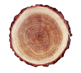 LUGAR AMERICANO EM PLÁSTICO TRONCO FULL FIT 38CM 25018