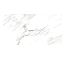 Porcelanato Ret. Delta Melbourne Polido Esmaltado 63x120