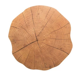 Lugar Americano Lyor de Plastico Autumn Madeira 38cm 1563