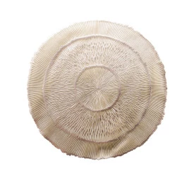 Lugar Americano Lyor Pvc Dourado 38cm