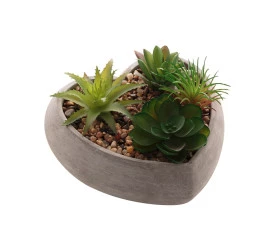 Vaso De Concreto Com Suculenta Lyor Coração Cinza