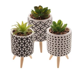Cachepot Concreto Com Suculenta E Com suporte Sortido
