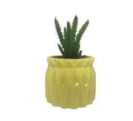 Vaso Com Suculenta Em Dolomita E Plástico Cor Amarelo