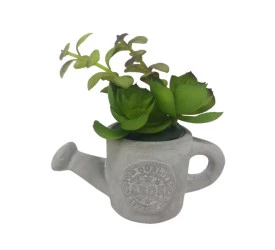 Vaso Com Suculenta Regador L'Hermitage Em Cimento