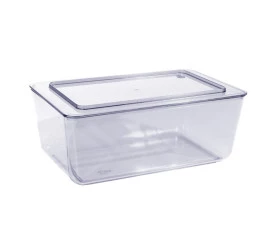 Organizador Retangular Retrô Coza Cristal 27,8x17,5x11Cm