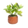 Cachepot Wolff de Cimento C/ Planta Artificial Prisma Marrom