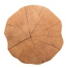 Lugar Americano Lyor de Plastico Autumn Madeira 38cm 1563