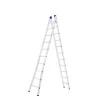 Escada Extensiva Mor 2x10 