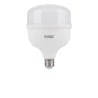 Lampada Taschibra High Led Tkl 270/50W 6500K E27