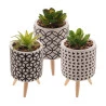 Cachepot Concreto Com Suculenta E Com suporte Sortido