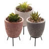 Cachepot De Concreto Com Suculenta Com Suporte Sortido