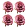 Jogo De Anéis De Guardanapo L'Hermitage Rosa 4Peças 
