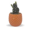 Vaso Com Suculenta Em Domilita E Plástico Cor Laranja