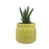 Vaso Com Suculenta Em Dolomita E Plástico Cor Amarelo