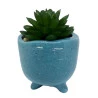 Vaso Com Suculenta Em Dolomita E Plástico Cor Azul 