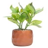 Cachepot Wolff de Cimento C/ Planta Artificial Prisma Marrom