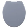 Assento Sanitário Soft Close Astra Oval Cinza