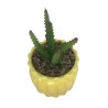 Vaso Com Suculenta Em Dolomita E Plástico Cor Amarelo
