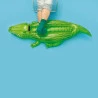 Boia Mor Crocodilo