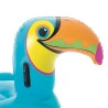 Boia Mor Tucano