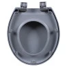 Assento Sanitário Soft Close Astra Oval Cinza