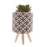 Cachepot Concreto Com Suculenta E Com suporte Sortido