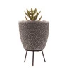 Cachepot De Concreto Com Suculenta Com Suporte Sortido