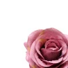 Jogo De Anéis De Guardanapo L'Hermitage Rosa 4Peças 