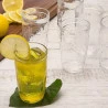 Jogo de Copos Nadir P/suco Sm Zumba 270ml 6 Un. J1360/815