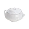 Sopeira Wolff Porcelana Limoges Vendange 4l 