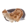 Figura Decorativa Wolff Resina Familia 15x9x28cm