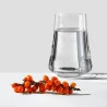 Jogo Bohemia 6 Copos Altos Xtra Em Cristal 400ml A12,5cm