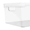 Organizador Clear 30X20X13Cm Ou Natural