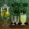 Dispenser/suqueira Wolff Cristal C/Pé e Tampa Palm Tree 4,5l 