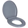 Assento Sanitário Soft Close Astra Oval Cinza