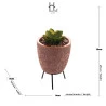 Cachepot De Concreto Com Suculenta Com Suporte Sortido