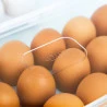 Organizador De Ovos Clear Fresh Ou Natura