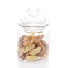 Pote Lyor de Vidro C/tampa Arena 750ml