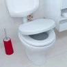 Assento Sanitário Soft Close Astra Oval Branco 