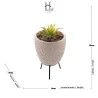 Cachepot De Concreto Com Suculenta Com Suporte Sortido