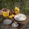 Aparelho de Jantar/cha Oxford 30pcs M. Order Limoni