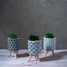 Cachepot Concreto Com Suculenta E Com suporte Sortido
