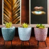 Cachepot De Concreto Com Suculenta Com Suporte Sortido