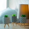 Cachepot Concreto Com Suculenta E Com suporte Sortido