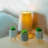 Cachepot Concreto Com Suculenta E Com suporte Sortido