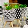 Cachepot Concreto Com Suculenta E Com suporte Sortido